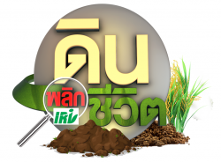 โรงงานผลิตปุ๋ยน้ำ OEM รับปรึกษาพร้อมพพัฒนาสารเสริมประสิทธิภาพพืชแบบครบวงจร จำหน่ายปุ๋ยน้ำทั้งราคาปลีก และส่ง